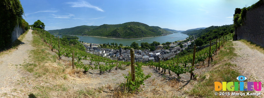 FZ017437-59 View over Bacharach